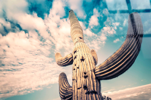 Desert Sentinel Tempered Glass - Beige / Teal