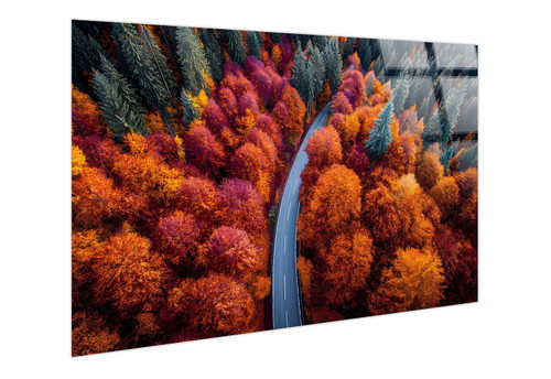 Autumn Bend Tempered Glass - Orange / Red