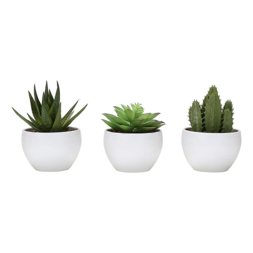 Artificial Succulent Plants (Set of 3)