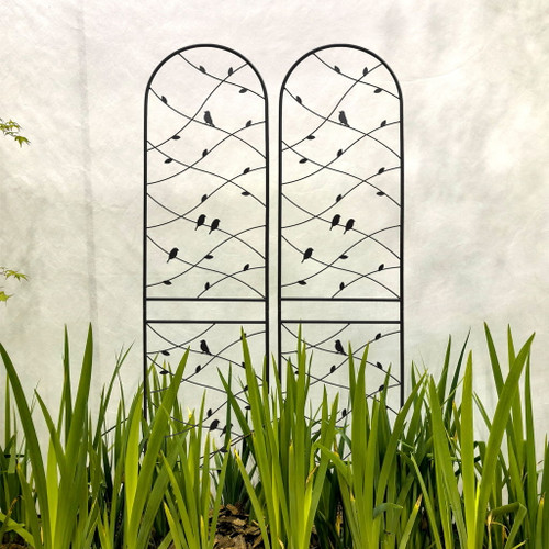 Garden Rustproof Trellis For Climbing Plants