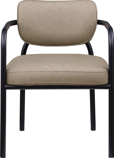 Serava - Vegan Leather Upholstered Dining Chair (Set of 2)