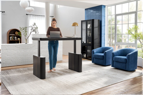 Emilio Charcoal Modern Electric Adjustable Standing Desk
