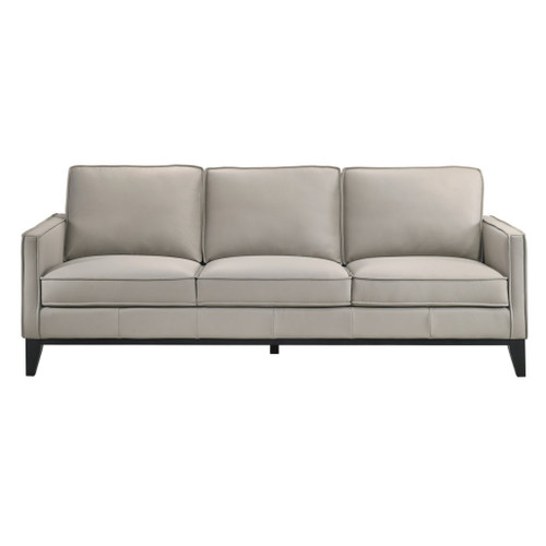 Aaron - Sofa - Mist Gray