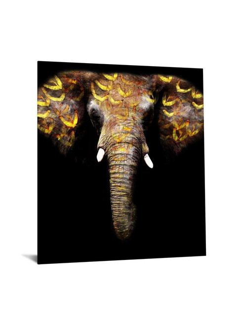 Floating Tempered Glass With Foil Elephant - Dark Gray