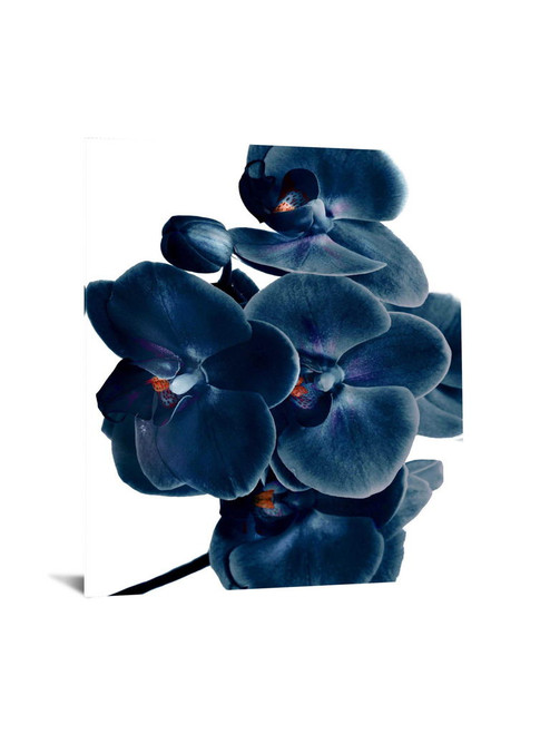 Temp Glass With Foil - Blue Orchid - Blue