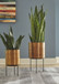 Donisha - Antique Brass Finish - Planter Set (Set of 2)