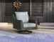 Elite Park - Swivel Lounge w/ Cushion - Gray