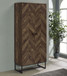 Carolyn - 2-Door Accent Cabinet - Rustic Oak And Gunmetal - Wood