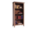 Antique - Bookcase - Multicolor