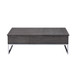 Iban - Coffee Table With Lift Top - Gray Oak & Chrome