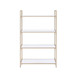 Ottey - Bookshelf - White High Gloss & Gold