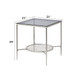 Adelrik - End Table - Glass & Chrome Finish