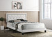 PASSION WHITE BED FRAME AND MATTRESS SET HH-Passion-White-Q/Pastel-Q by KM Home