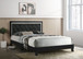 PASSION BLACK BED FRAME AND MATTRESS SET HH-Passion-Black-Q/Pastel-Q by KM Home