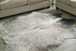 Tailboy - Gray - Medium Rug