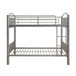 Cayelynn - Bunk Bed