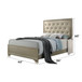 Carine - Queen Bed - Synthetic Leather & Champagne