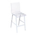 Nadie - Counter Height Chair (Set of 2) - Clear Acrylic & Chrome