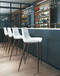 Magnus - Bar Stool (Set of 2)