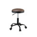 Ouray - Adjustable Stool w/Swivel