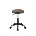 Ouray - Adjustable Stool w/Swivel