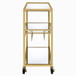 Adamsen - Serving Cart - Mirrored & Champagne