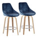 Diana - Fixed-Height Counter Stool (Set of 2)