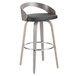 Grotto - 30" Fixed-height Barstool (Set of 2) - Dark Gray And Gray