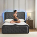 Delia Classic Button-Tufted Storage Bed with LED Light