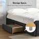 Delia Classic Button-Tufted Storage Bed with LED Light