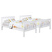 Chapman - Wood Bunk Bed