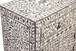 Fowler - Accent Cabinet - Pearl Silver