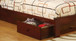 Carus - Twin Bed - Cherry
