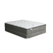 Stormin - Euro Pillow Top Mattress 75" x 54" - White