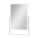 Hollywood Vanity LED Strip Mirror 360° Free Rotation and Detachable