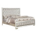 Madison Upholstered Bed in Beige
