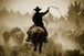 Rope And Ride By Danita Delimont - Dark Brown