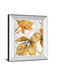 Gold Shadows Il By Patricia Pinto - Mirror Framed Print Wall Art - Dark Brown