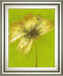 Floral Burst Vl By Emma Forrester - Framed Print Wall Art - Green