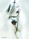 Framed Small - Dream Horse By Kari Brooks - White