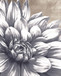 Small - Charming Floral I By Dogwood Portfolio - Gray
