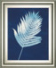 Nature By The Lake Ferns III By Piper Rhue - Framed Print Wall Art - Blue