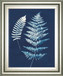 Nature By The Lake Ferns V By Piper Rhue - Framed Print Wall Art - Blue