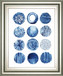 22x26 Differing Drops II By Grace Popp - Blue