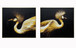 Hand Painted Textured Canvas in Frame (Set of 2) - Yellow