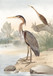Along The Shores II By Piddix (Framed) (Small) - Light Brown