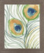 Peacock Abstract I By Samuel Dixon - White