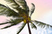 Palm Breeze By Natalie Carpentieri - Dark Green