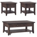 Paradise Valley - 3 Piece Table Set (Lift Top Cocktail Table) - Saddle Brown