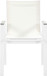Nizuc - Outdoor Patio Dining Arm Chair With White Frame And Gray Arms (Set of 2)
